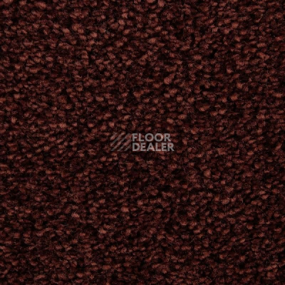 Ковролин Edel Wild Romance 265 фото 1 | FLOORDEALER