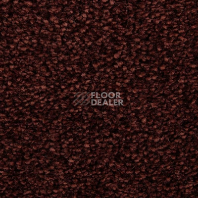 Ковролин Edel Wild Romance 265 фото 1 | FLOORDEALER