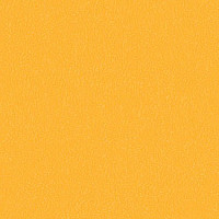 Линолеум Graboflex Gymfit 60 3096_00_279 фото 1 | FLOORDEALER