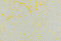 Линолеум Forbo Marmoleum Solid Concrete 3733-373335 yellow shimmer фото 1 | FLOORDEALER
