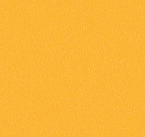 Линолеум Graboflex Gymfit 60 3096_00_279 фото 1 | FLOORDEALER