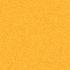 Линолеум Graboflex Gymfit 60 3096_00_279 фото 1 | FLOORDEALER