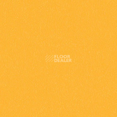 Линолеум Graboflex Gymfit 60 3096_00_279 фото 1 | FLOORDEALER