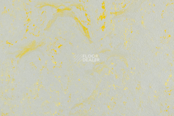 Forbo Marmoleum Solid Concrete 3733-373335 yellow shimmer фото 1 | FLOORDEALER