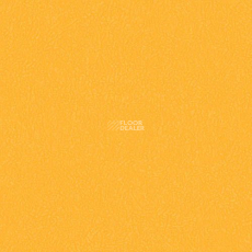 Graboflex Gymfit 60 3096_00_279 фото 1 | FLOORDEALER