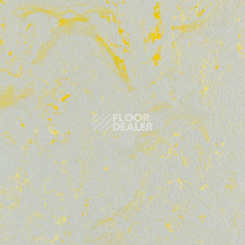Forbo Marmoleum Solid Concrete 3733-373335 yellow shimmer фото 1 | FLOORDEALER