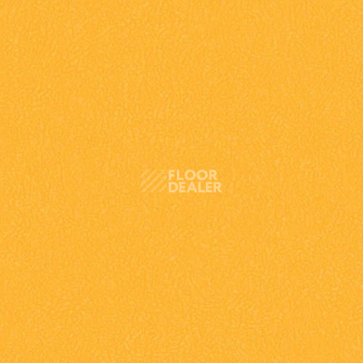 Линолеум Graboflex Gymfit 60 3096_00_279 фото 1 | FLOORDEALER