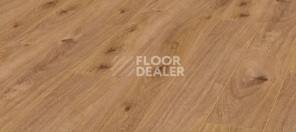 Ламинат Kronotex Aqua Amazone 10мм D4169 Дуб Престиж светлый фото 1 | FLOORDEALER