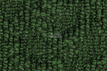 IVC Animate 621 фото 4 | FLOORDEALER