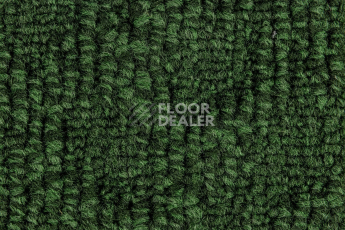 IVC Animate 621 фото 4 | FLOORDEALER