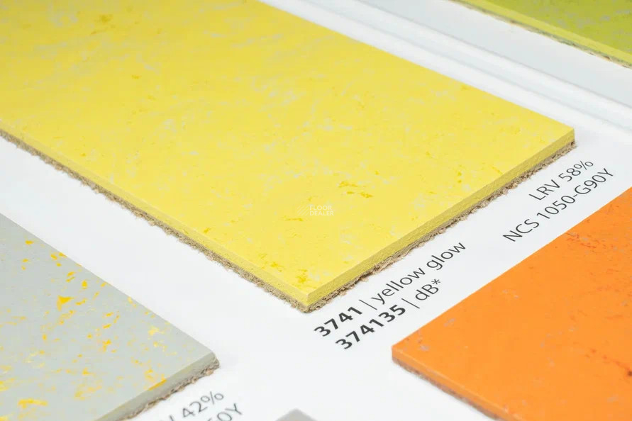 Forbo Marmoleum Solid Concrete 3741-374135 yellow glow фото 2 | FLOORDEALER