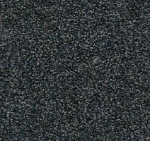 Ковролин AW Timeless 78 фото 1 | FLOORDEALER