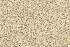 Ковролин Balsan Equinoxe 610 фото  | FLOORDEALER