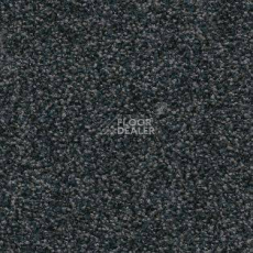 Ковролин AW Timeless 78 фото 1 | FLOORDEALER