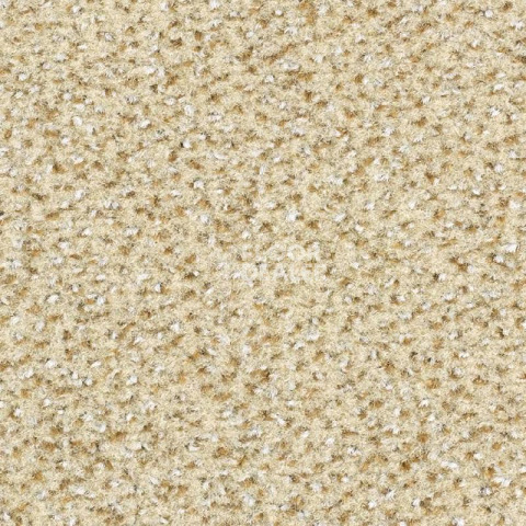 Ковролин Balsan Equinoxe 610 фото 1 | FLOORDEALER