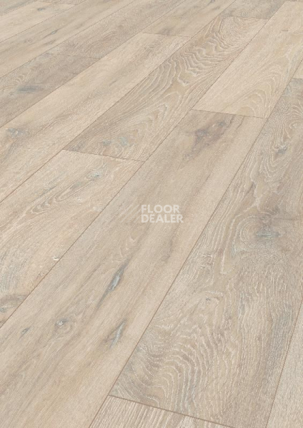 Ламинат Terhurne Dureco Classic Line 2805 / a03 Дуб Луна серый фото 1 | FLOORDEALER