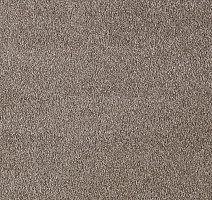 Ковролин AW Secret 44 фото 1 | FLOORDEALER