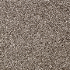 Ковролин AW Secret 44 фото 1 | FLOORDEALER