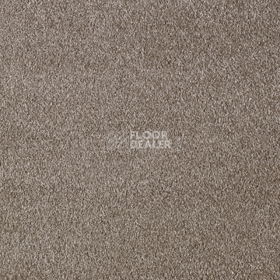 Ковролин AW Secret 44 фото 1 | FLOORDEALER