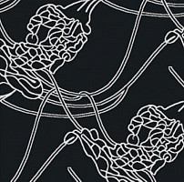 Ковролин Halbmond Classic Selection 64-003 f 09 фото 1 | FLOORDEALER