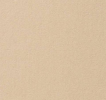 Ковролин Vorwerk Passion 1000/Modena Vorwerk 1l99 фото 1 | FLOORDEALER