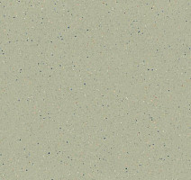 Линолеум Tarkett Zenit 705 фото 1 | FLOORDEALER