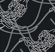 Ковролин Halbmond Classic Selection 64-003 f 09 фото 1 | FLOORDEALER