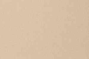 Ковролин Vorwerk Passion 1000/Modena Vorwerk 1l99 фото  | FLOORDEALER