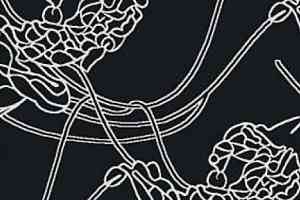 Ковролин Halbmond Classic Selection 64-003 f 09 фото  | FLOORDEALER