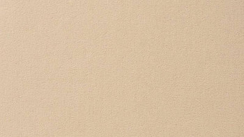 Ковролин Vorwerk Passion 1000/Modena Vorwerk 1l99 фото 1 | FLOORDEALER