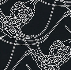 Ковролин Halbmond Classic Selection 64-003 f 09 фото 1 | FLOORDEALER