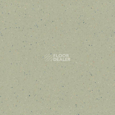 Линолеум Tarkett Zenit 705 фото 1 | FLOORDEALER