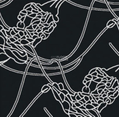 Halbmond Classic Selection 64-003 f 09 фото 1 | FLOORDEALER