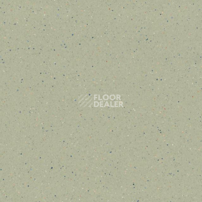 Линолеум Tarkett Zenit 705 фото 1 | FLOORDEALER