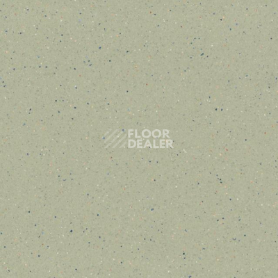 Линолеум Tarkett Zenit 705 фото 1 | FLOORDEALER