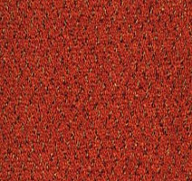 Ковролин Desso Champion 5011 фото 1 | FLOORDEALER