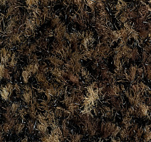 Forbo Coral Brush 5774 Biscotti Brown фото 2 | FLOORDEALER