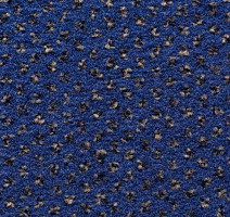 Ковролин Condor Carpets Argus 424 фото 1 | FLOORDEALER