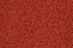 Ковролин Desso Champion 5011 фото  | FLOORDEALER