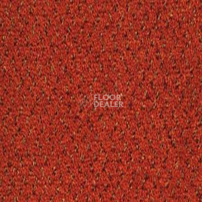 Ковролин Desso Champion 5011 фото 1 | FLOORDEALER