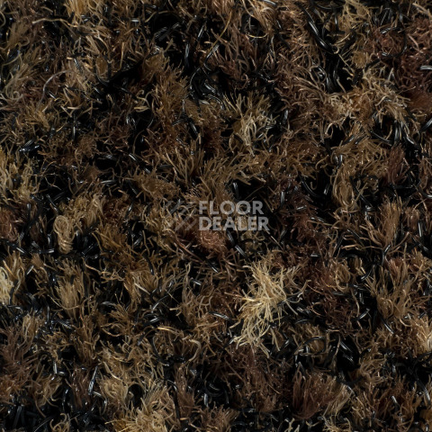 Forbo Coral Brush 5774 Biscotti Brown фото 2 | FLOORDEALER