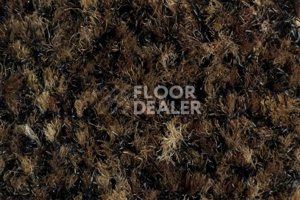 Грязезащитные покрытия Forbo Coral Brush 5774 biscotti brown фото 1 | FLOORDEALER