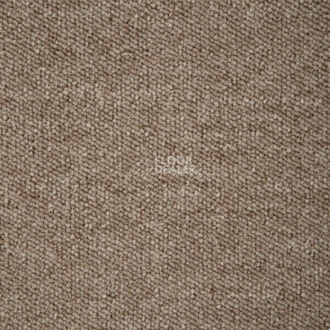 Ковролин Condor Sparkle 71 фото 1 | FLOORDEALER