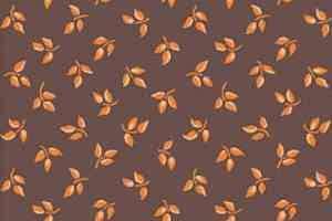 Ковролин Halbmond Classic Selection 42300 a 05 фото  | FLOORDEALER