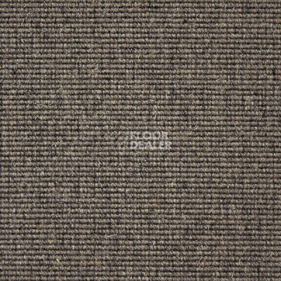 Ковролин Carpet Concept Eco Wool 595055 фото 1 | FLOORDEALER