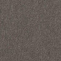 Desso Essence Broadloom 9094 фото 1 | FLOORDEALER