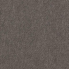 Desso Essence Broadloom 9094 фото 1 | FLOORDEALER