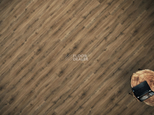 FF-1300 Light 1373 Дуб Саар фото 5 | FLOORDEALER