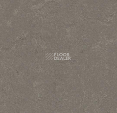 Линолеум Forbo Marmoleum Decibel 370535 meteorite фото 1 | FLOORDEALER