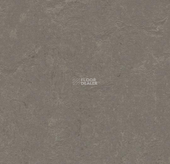 Forbo Marmoleum Decibel 370535 meteorite фото 1 | FLOORDEALER